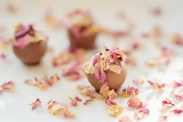 Bet24star Casino Application Android/iOS